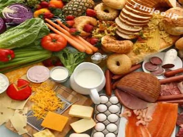 قانون‌های طلایی تغذیه