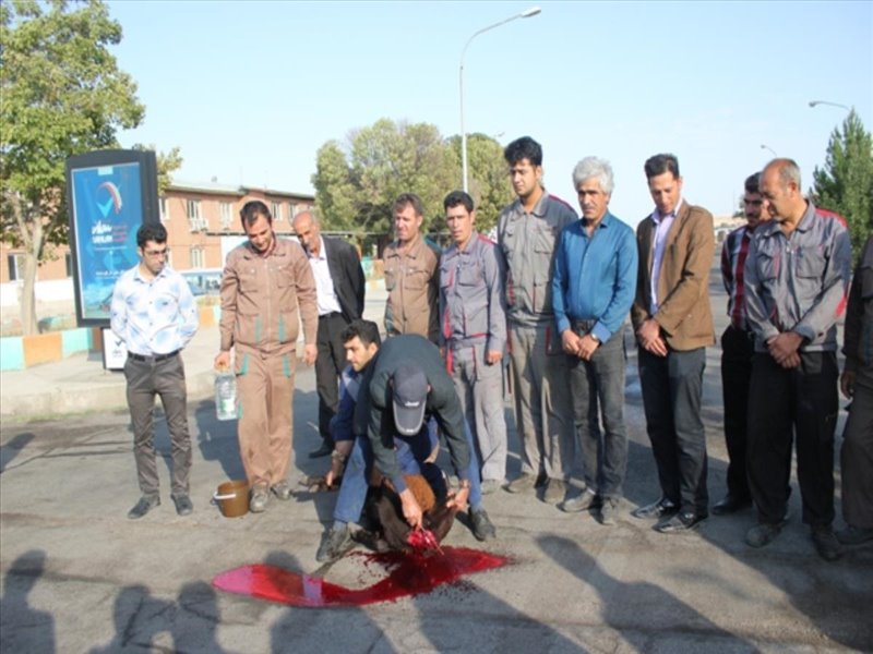 اولین روز کاری سرپرست جدید با استقبال پرسنل شرکت 