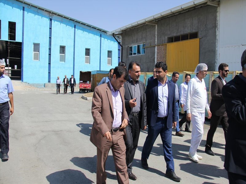 بازدید مدیرعامل شرکت ایران از شهرک شیرین عسل