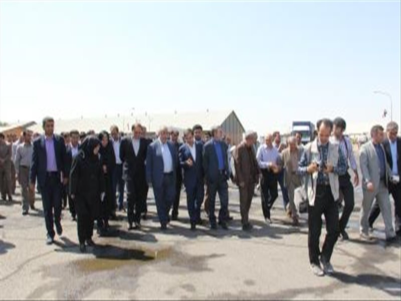 بازدید معاون وزیر  امور اقتصادی و دارایی از منطقه 