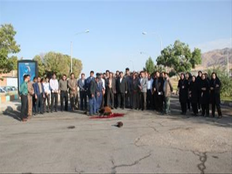 اولین روز کاری سرپرست جدید با استقبال پرسنل